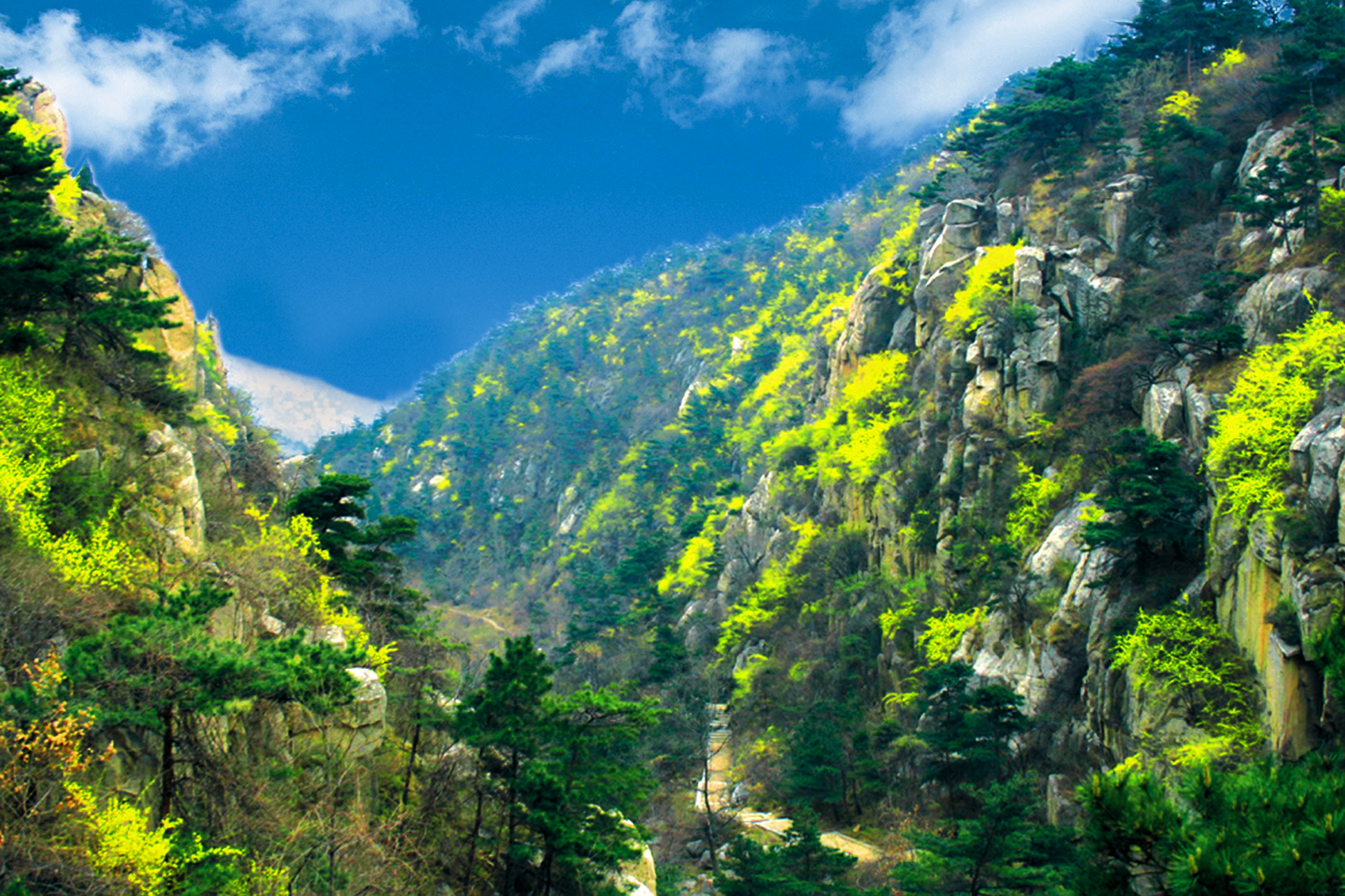 新泰莲花山国家森林公园