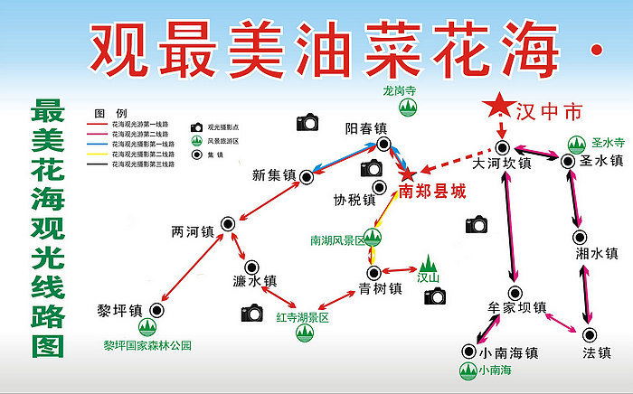 汉中油菜花