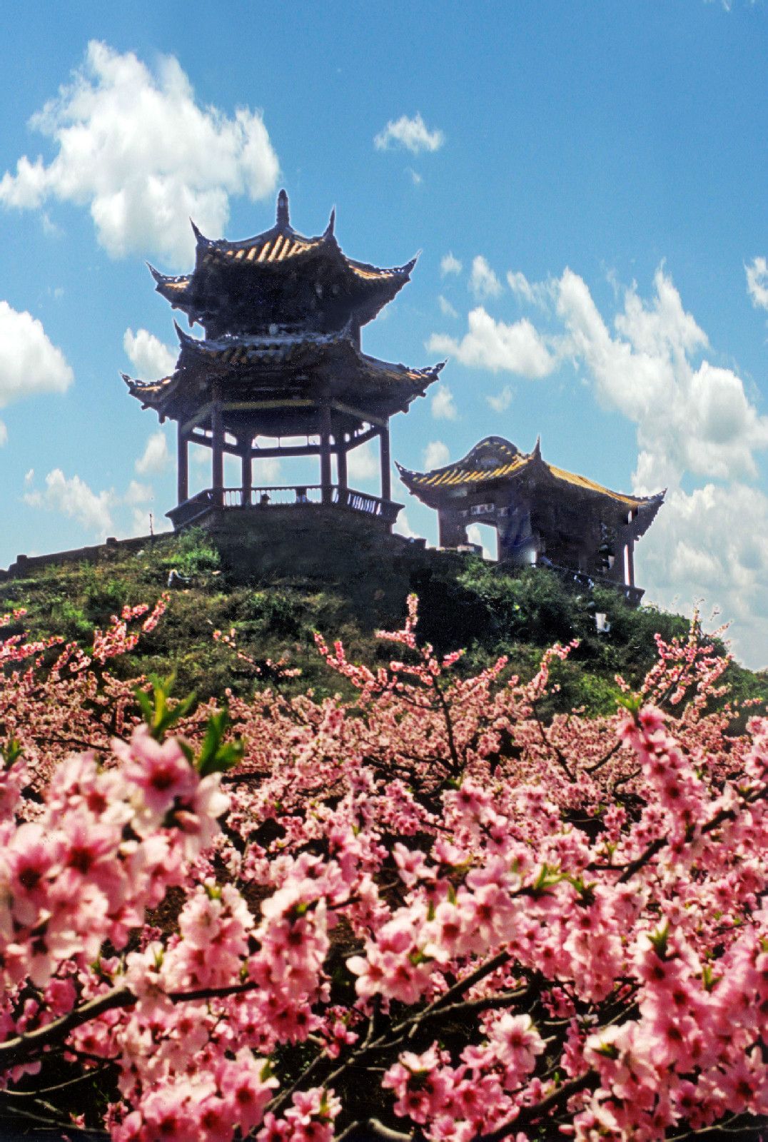 国家aaaa级旅游景区桃花故里位于成都龙泉山