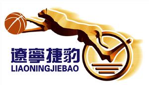 辽宁衡润飞豹篮球俱乐部
