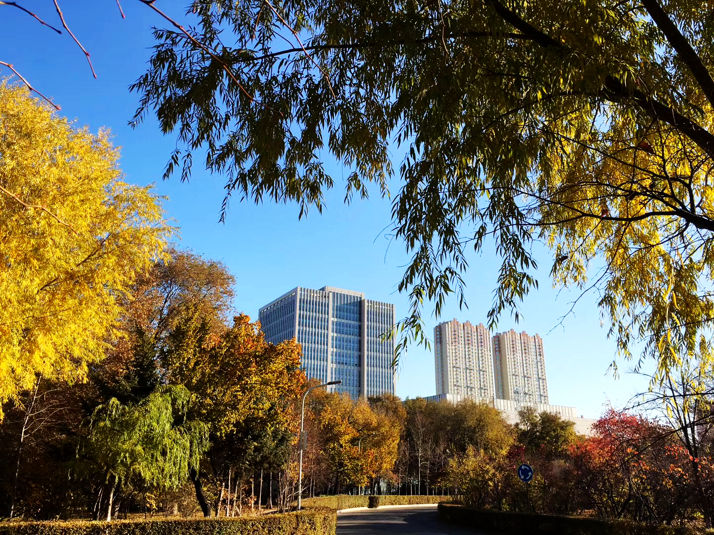 黑龙江中医药大学