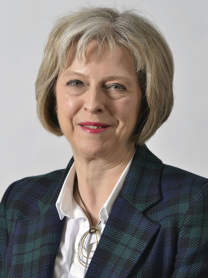 theresamay，theresaMayerik翻译成中文