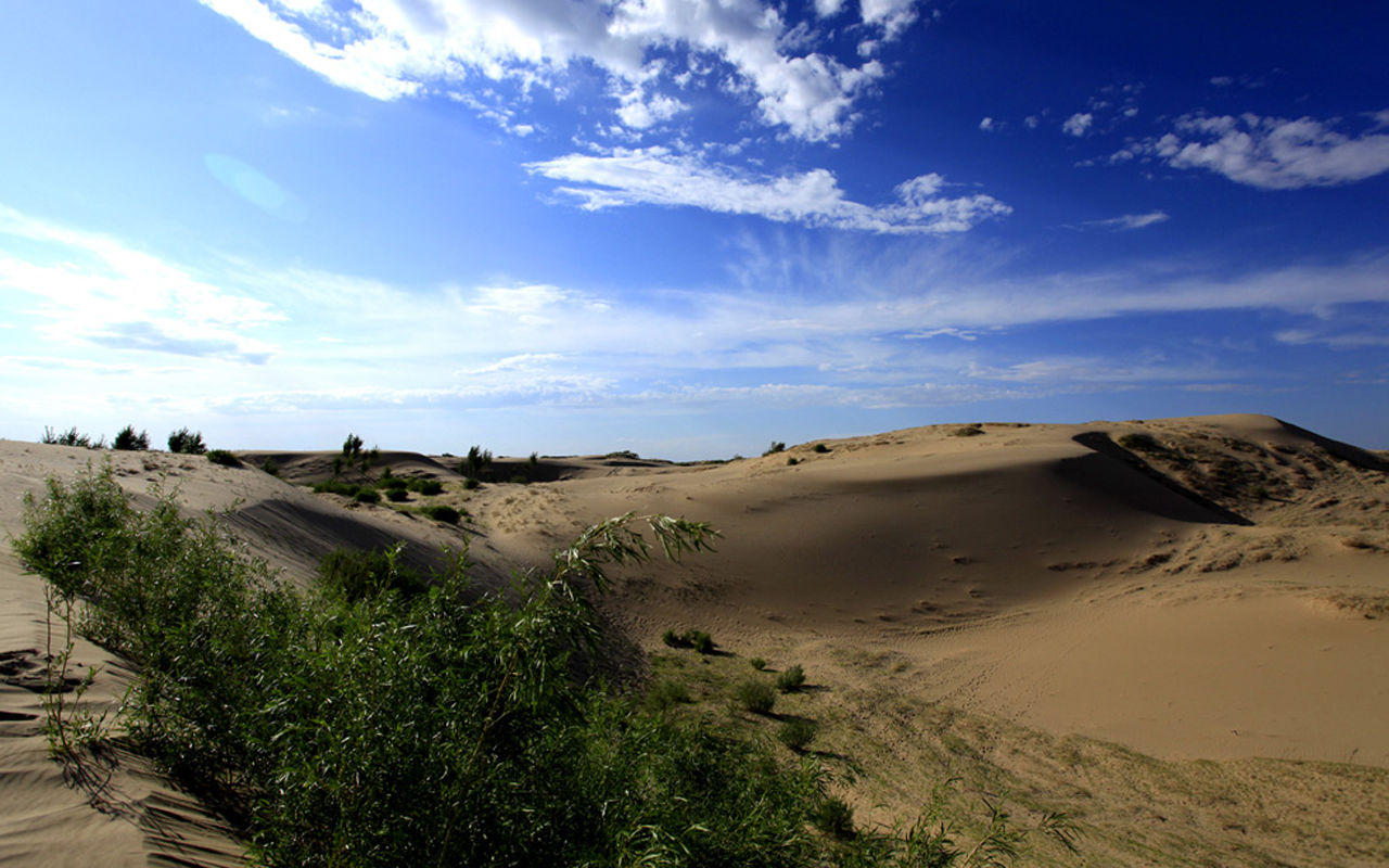 科尔沁沙地地处 a target="_blank" href="/item/西辽河平原/7652354"