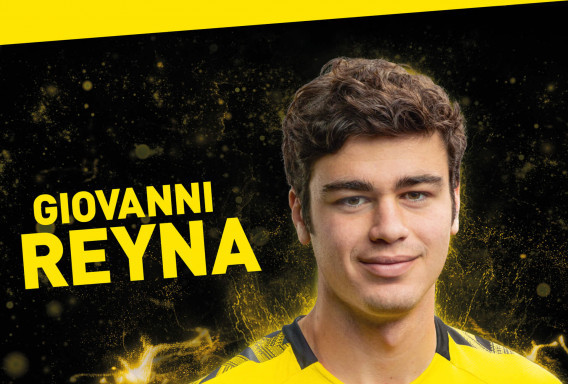  p>希奥万尼·亚历杭德罗·雷纳,美国足球运动员.