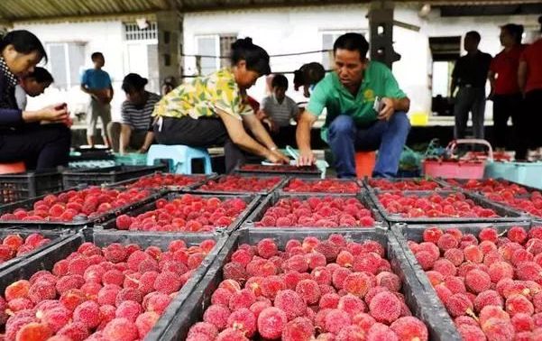  p>宝坛乡,广西壮族自治区河池市罗城仫佬族自治县下辖乡, span class