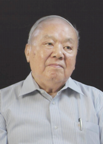 杨启先（中国市场经济研究会副会长）_百度百科