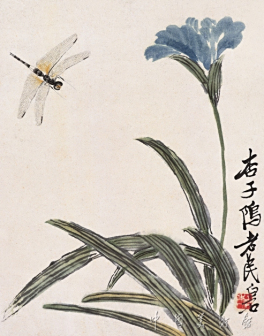 花卉蜻蜓