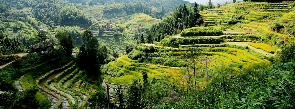 target="_blank" href="/item/桂东县/4938101" data-lemmaid="