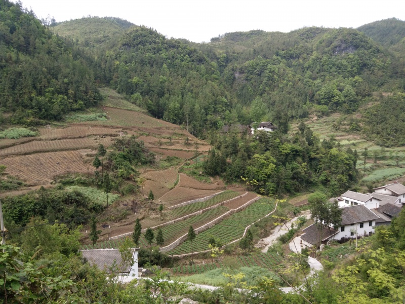  p>蜂桶乡,隶属于四川省达州市万源市,蜂桶乡地处万源市东南部,东邻