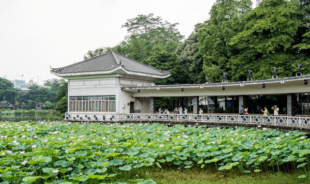  p data-id="gnwkjch92j">海山仙馆,位于广州市荔枝湾畔,是清代广州