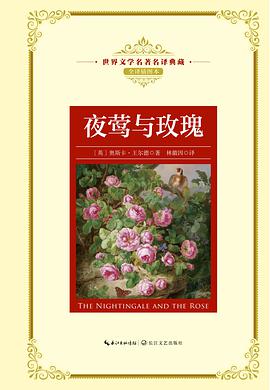 夜莺与玫瑰(世界文学名著名译典藏)