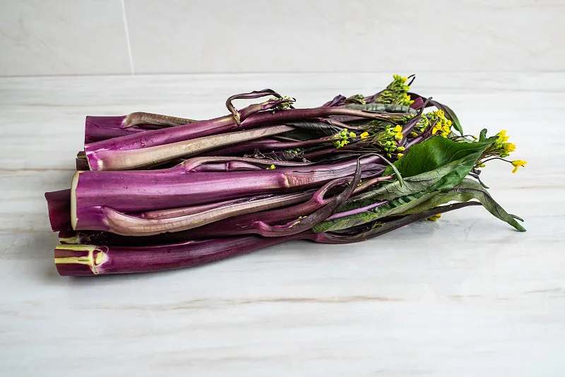  p data-id="tzc8ebe5xa5i">紫菜薹( i>brassica campestris var.