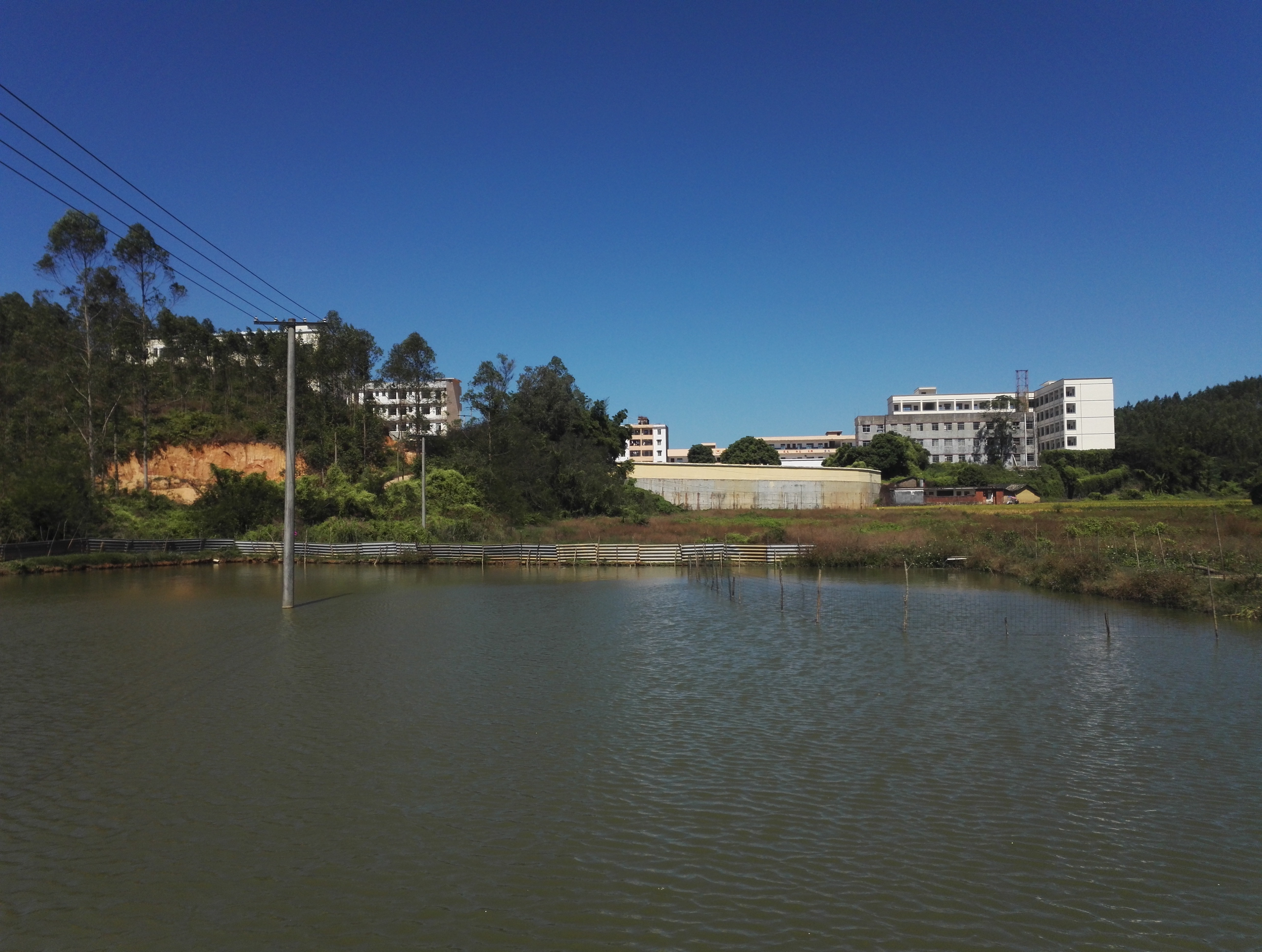 博白县新田镇初中