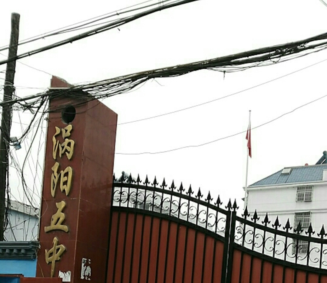 涡阳五中
