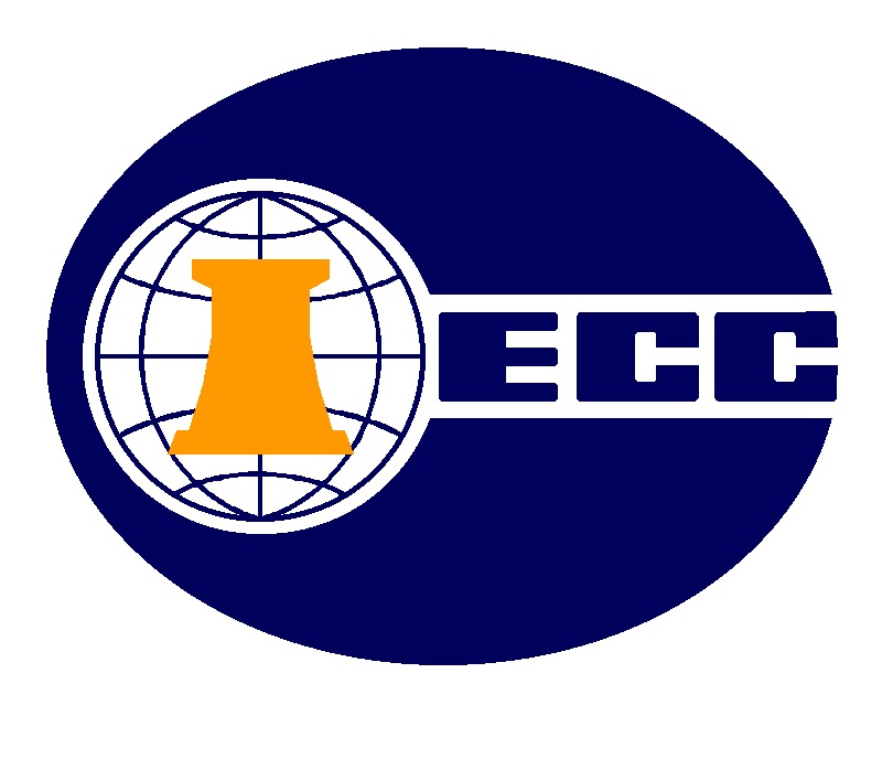  p>中国国际工程咨询有限公司 i>(简称 /i> i> a target="_blank"