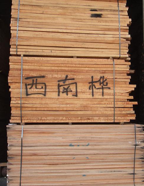  p>西南桦墨江家系09号是属于 a target="_blank" href="/item/桦木科