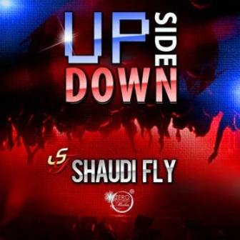UPSIDE_DOWN_SHAUDI_FLY_百度百科
