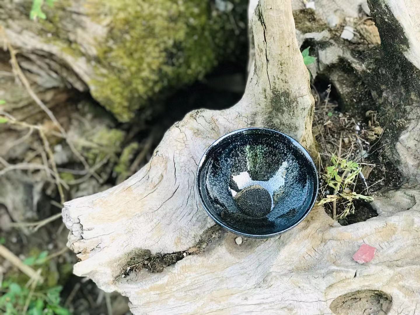  p>倪梅英,女,南平市建阳区华锋建盏陶瓷厂法定代表人,陶瓷装饰师.