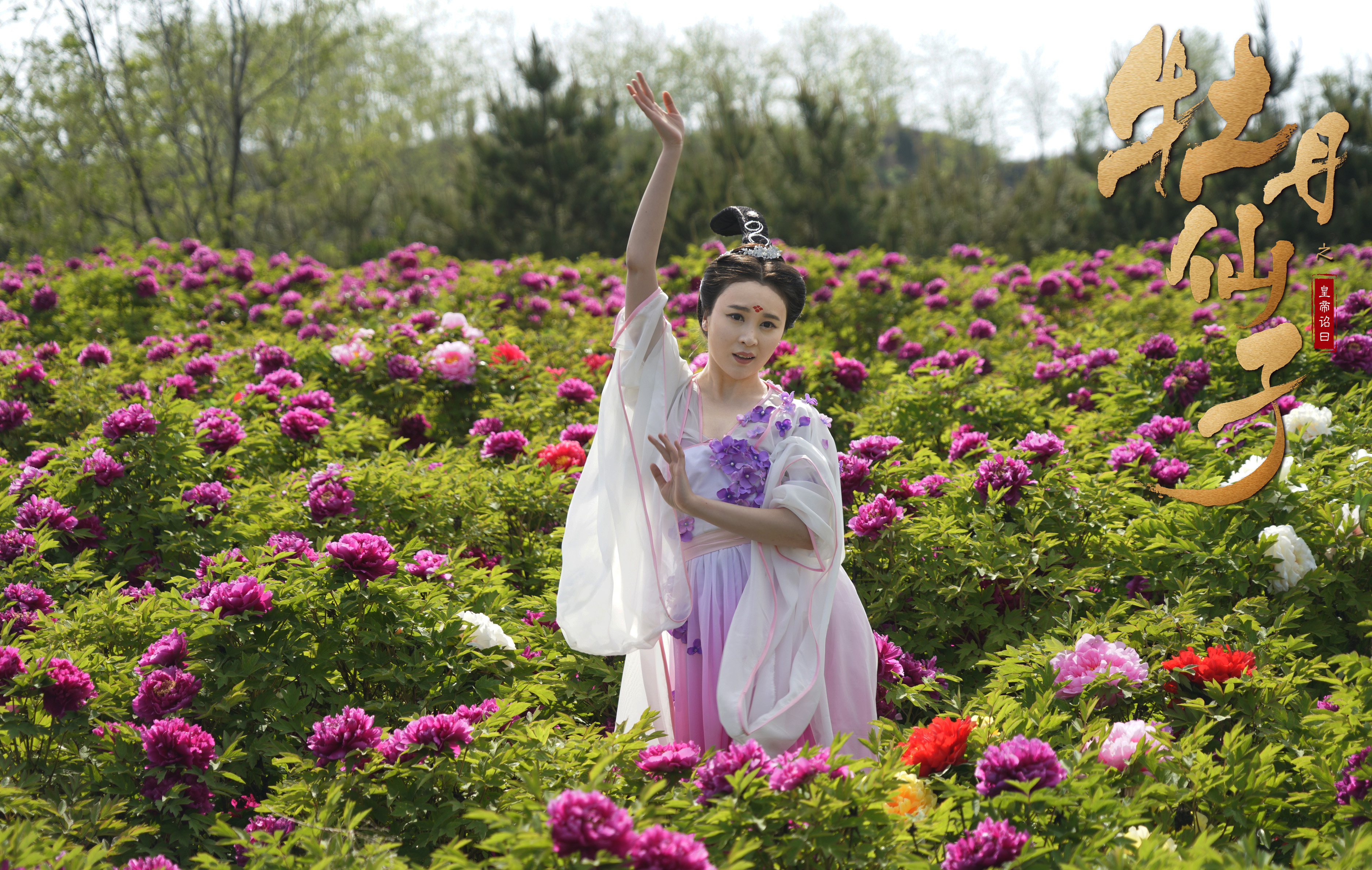 牡丹仙子之皇帝诏曰