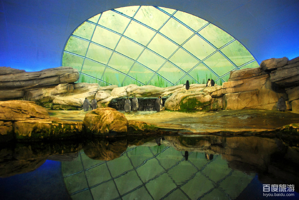  p>柏林动物园(zoologischer garten)位于德国柏林的 a href="#">蒂尔