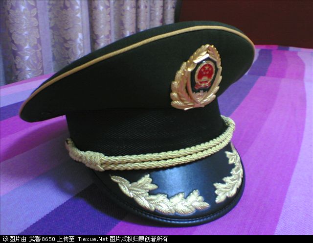 "/item/武装">武装 /a>力量中,解放军及武警的军官大檐帽帽檐上均有 a