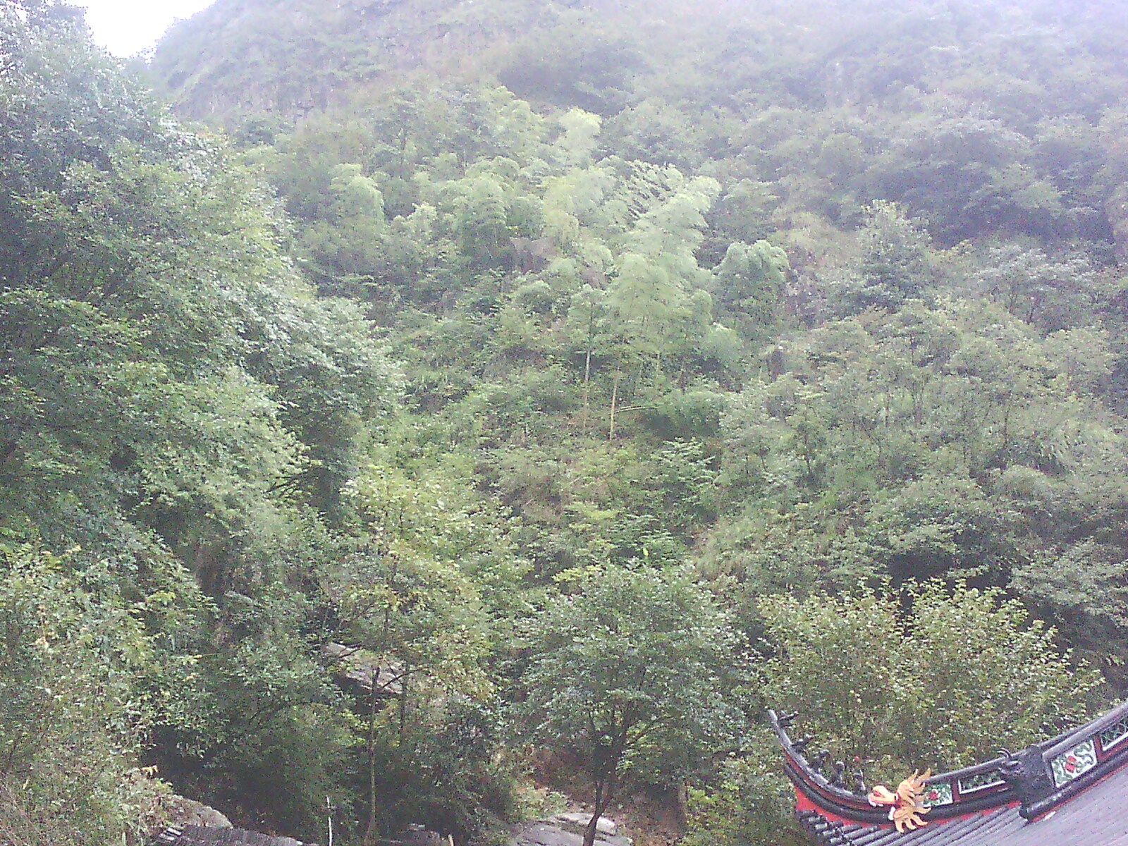  p data-id="u24vypwpecrf">红佛寺是浙江省嵊州市 a target="_blank"