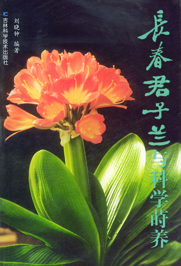 长春君子兰与科学莳养