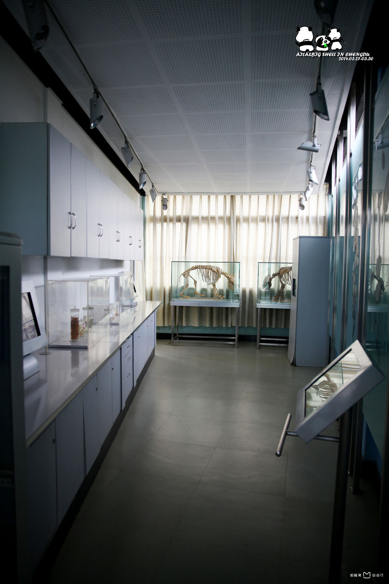  p>成都大熊猫繁育研究基地,位于 a target="_blank" href="/item