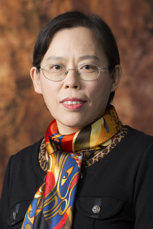 宋玮（中国人民大学财政金融学院副教授）_百度百科