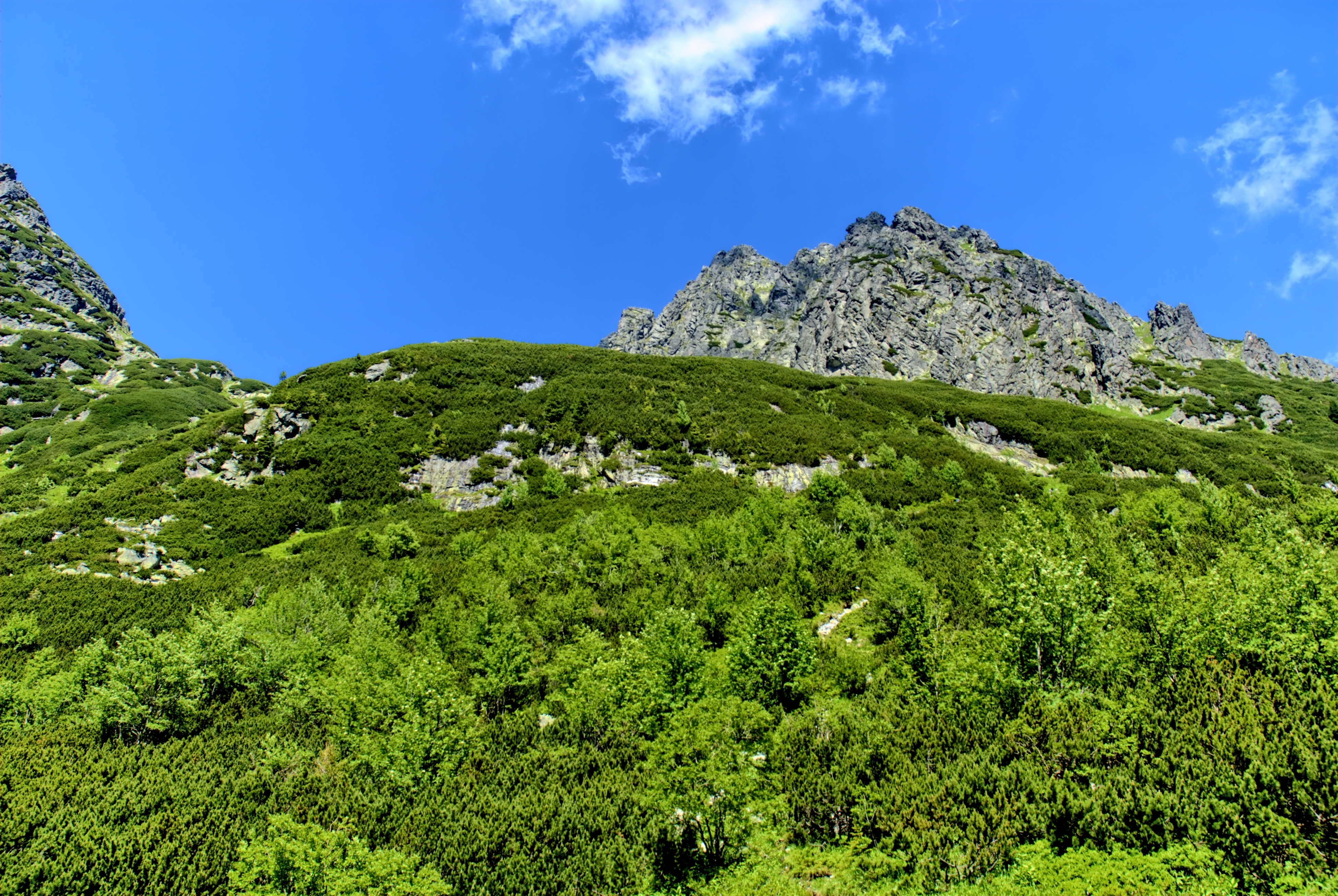 喀尔巴阡山