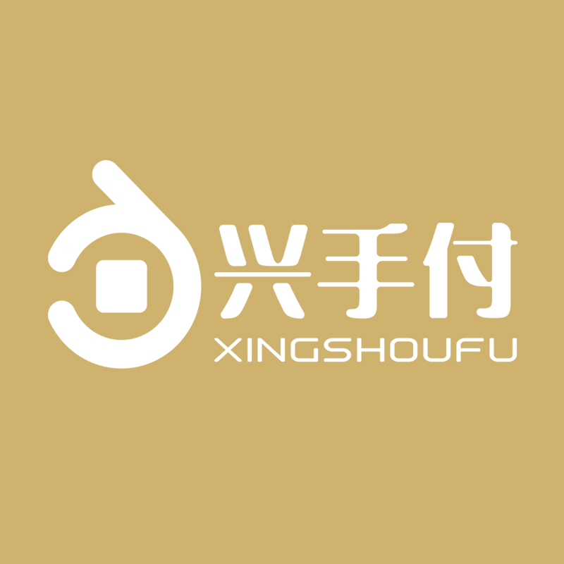 重庆兴手付科技发展股份有限公司