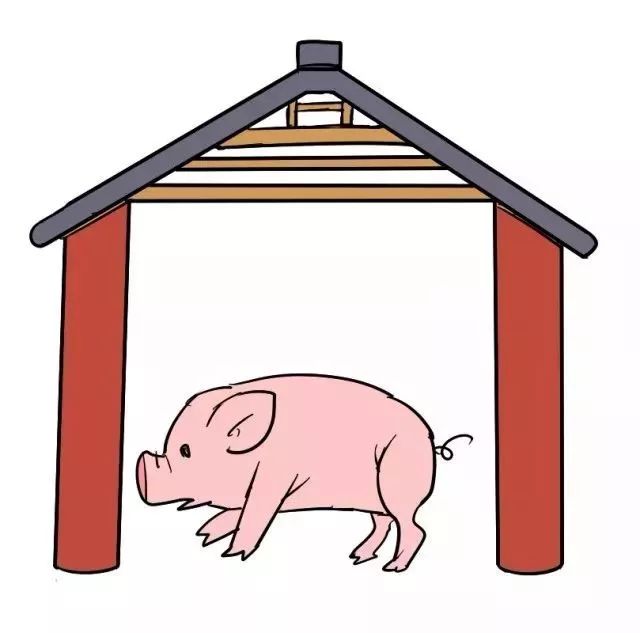 猪年说猪：少吃猪肉，拯救地球？猪对中华民族到底有多重要？_百科TA说