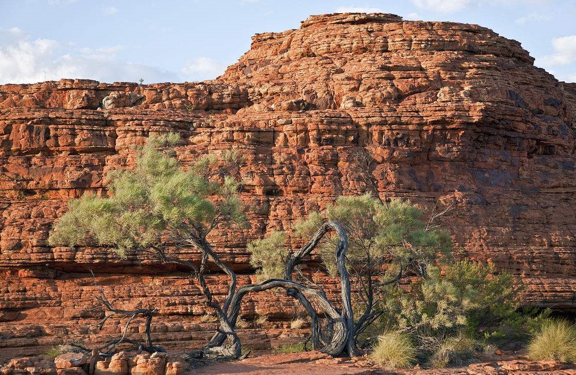  p>差别风化又称差异风化,选择风化,指在地面出露的,同时存在的抗风化