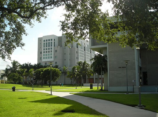  p>佛罗里达国际大学(florida international university)位于美国