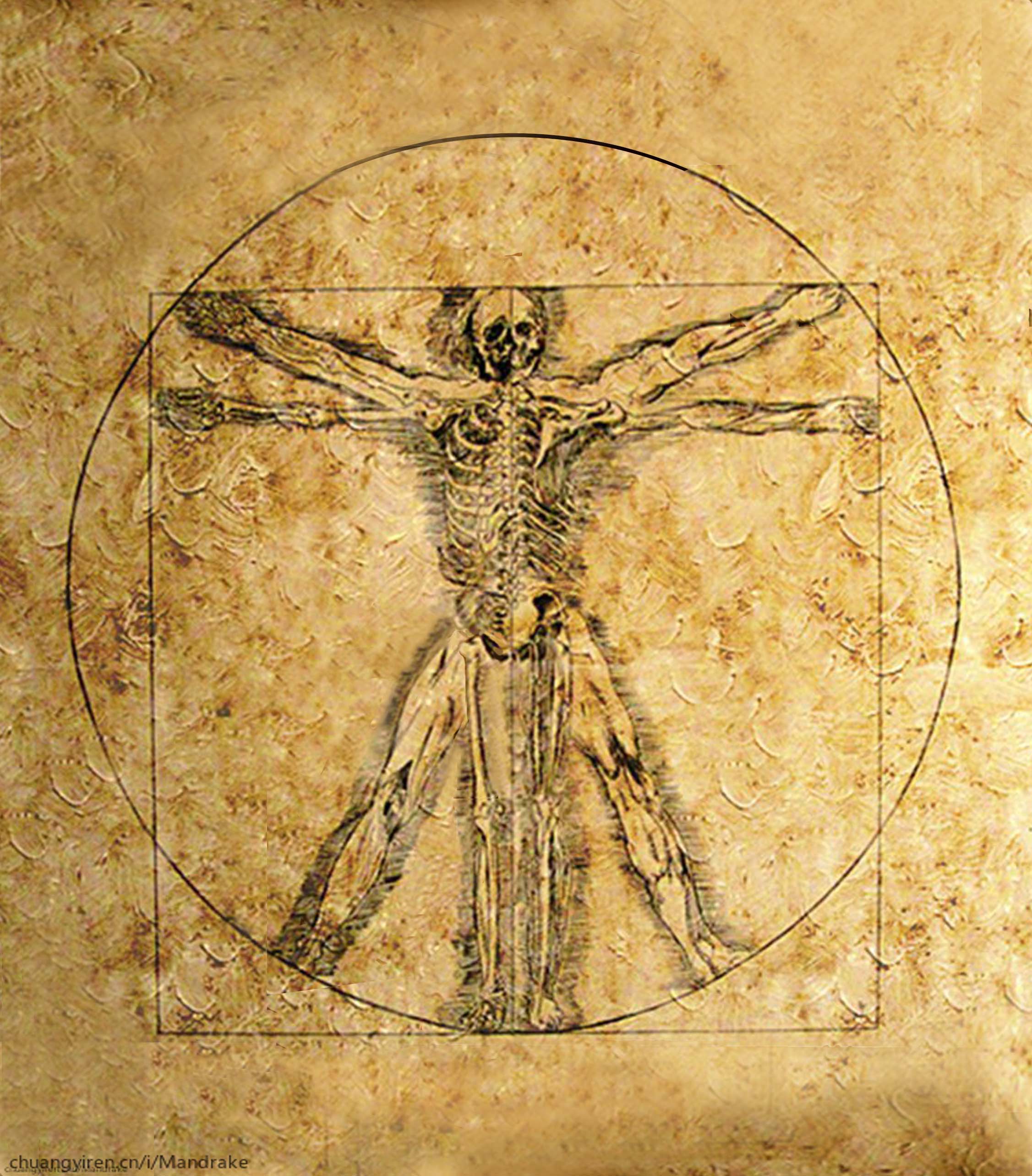 列奥纳多·达·芬奇