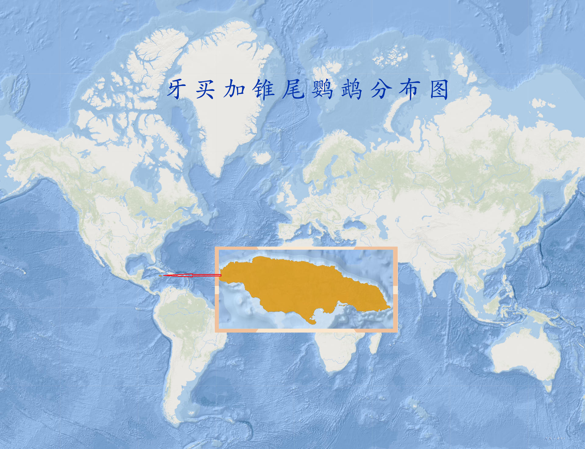  p>牙买加锥尾鹦鹉(学名: i>eupsittula nana /i>):是鸟纲,鹦鹉科典型