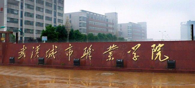  p>武汉城市职业学院是由湖北省人民政府举办,武汉市人民政府主管的