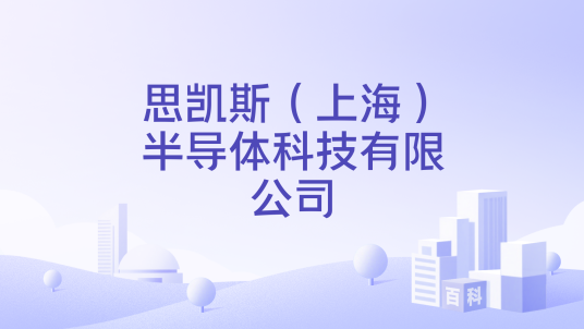 思凯斯（上海）半导体科技有限公司_百度百科