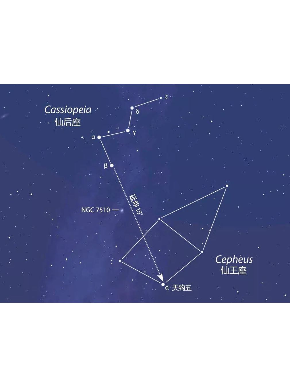 > b>仙王座 /b>是 a target="_blank" href="/item/拱极星座/8586029"