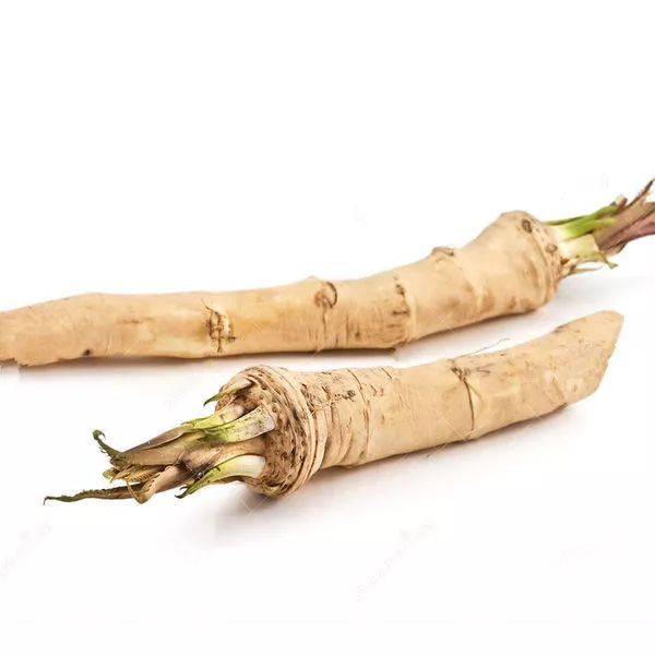 p. gaertner et schreb.)是十字花科,辣根属植物.