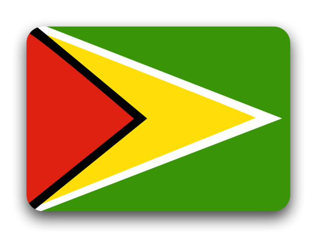 2020年东京残奥会圭亚那体育代表团