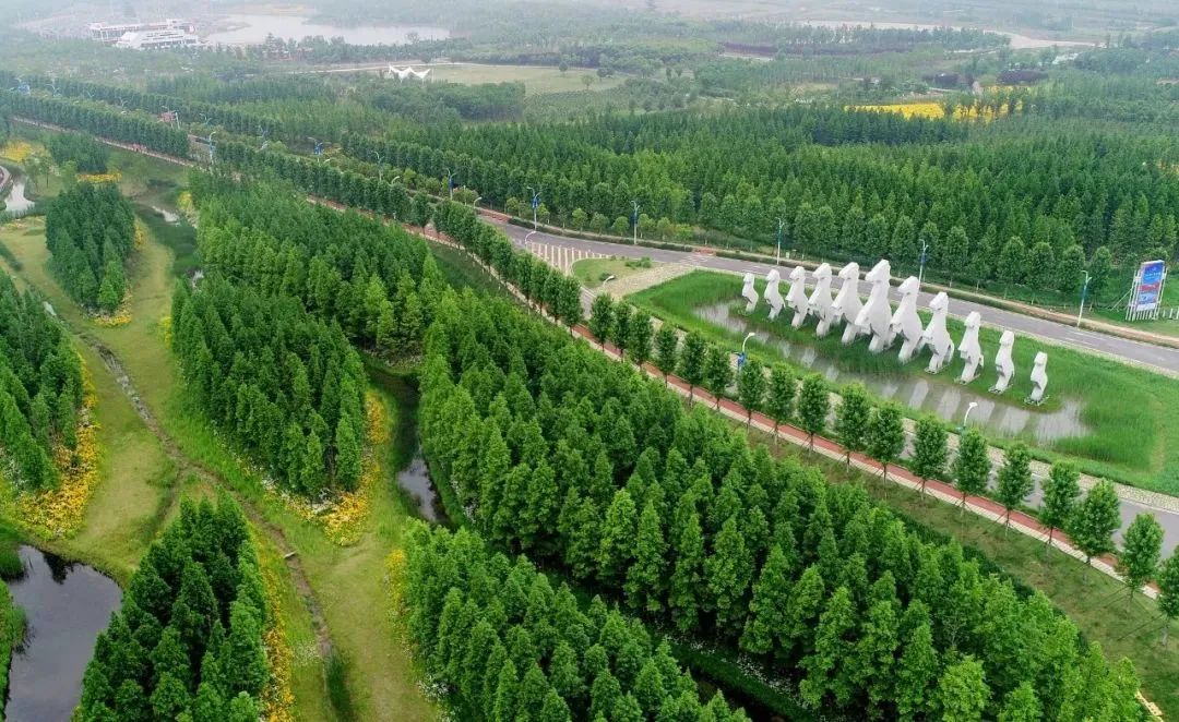 淮安市白马湖生态旅游景区