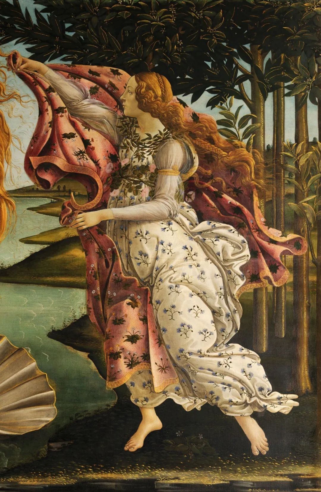 名画欣赏《维纳斯的诞生》波提切利