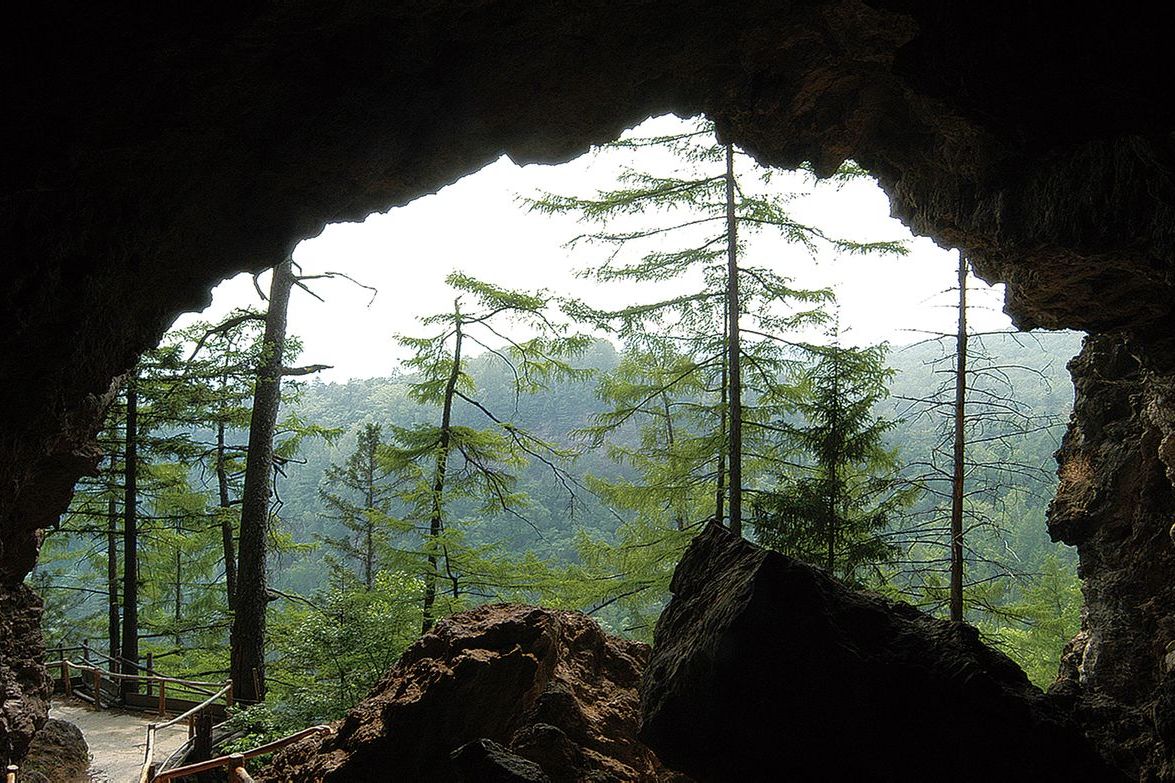 火山口国家森林公园