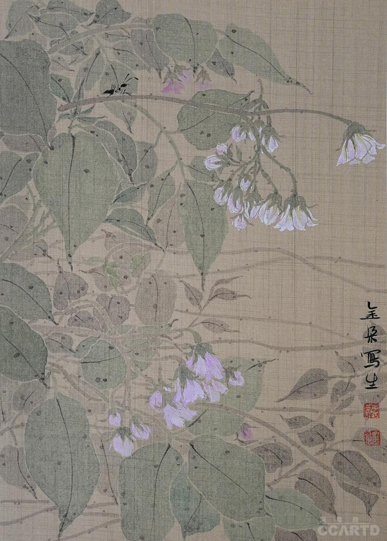 李金朵,笔名金朵朵