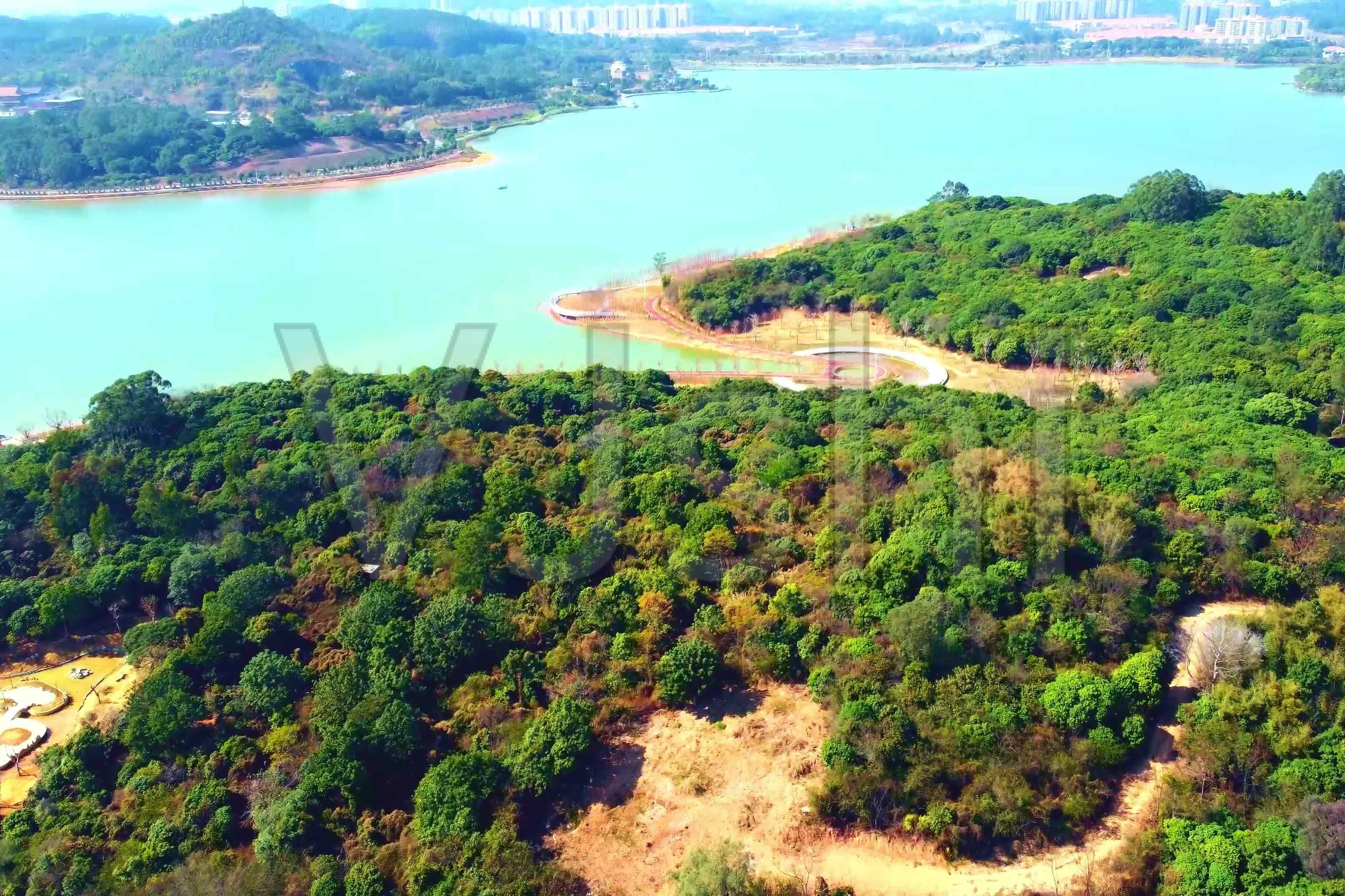 增城区荔湖湿地公园