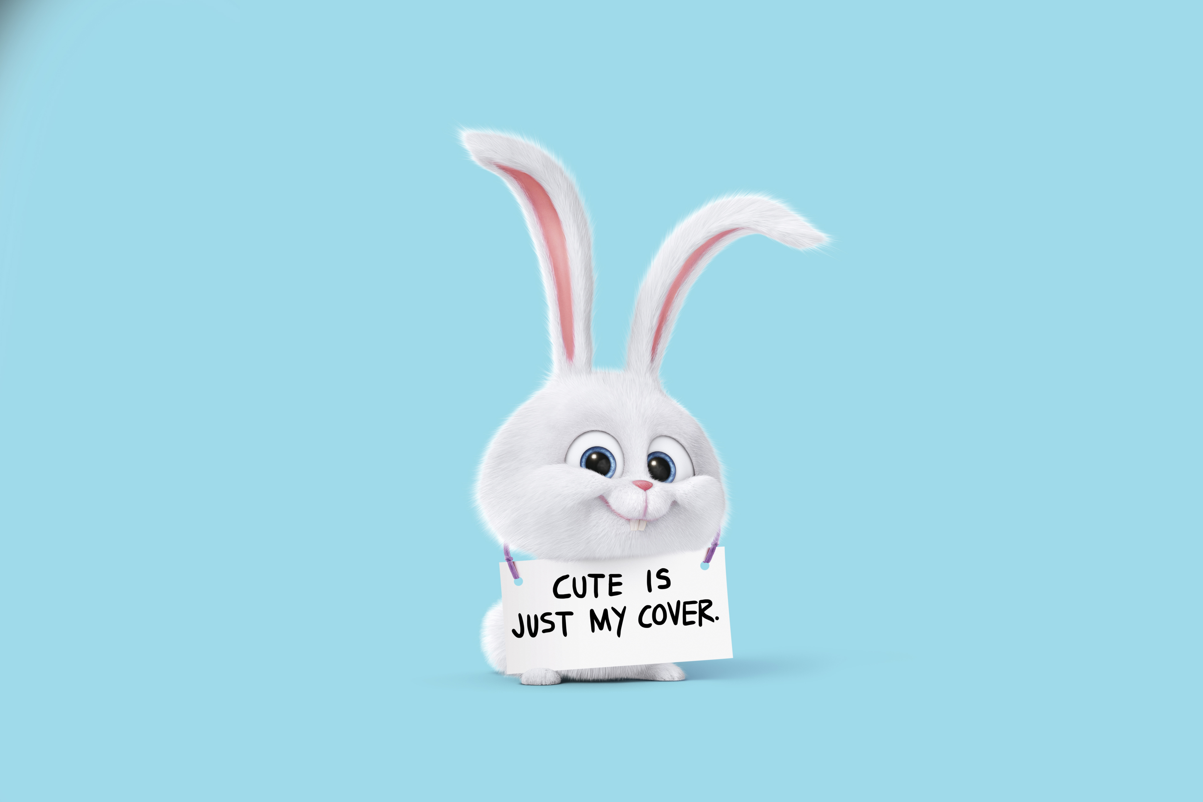 于美国电影《 a target="_blank" href="/item/爱宠大机密/18834383"