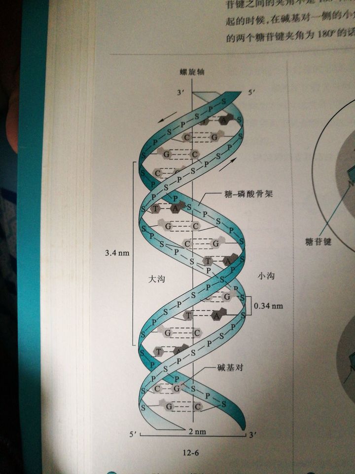 螺旋结构