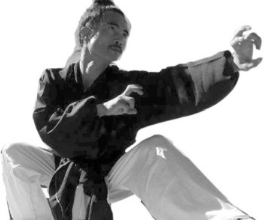 洪拳_百度百科