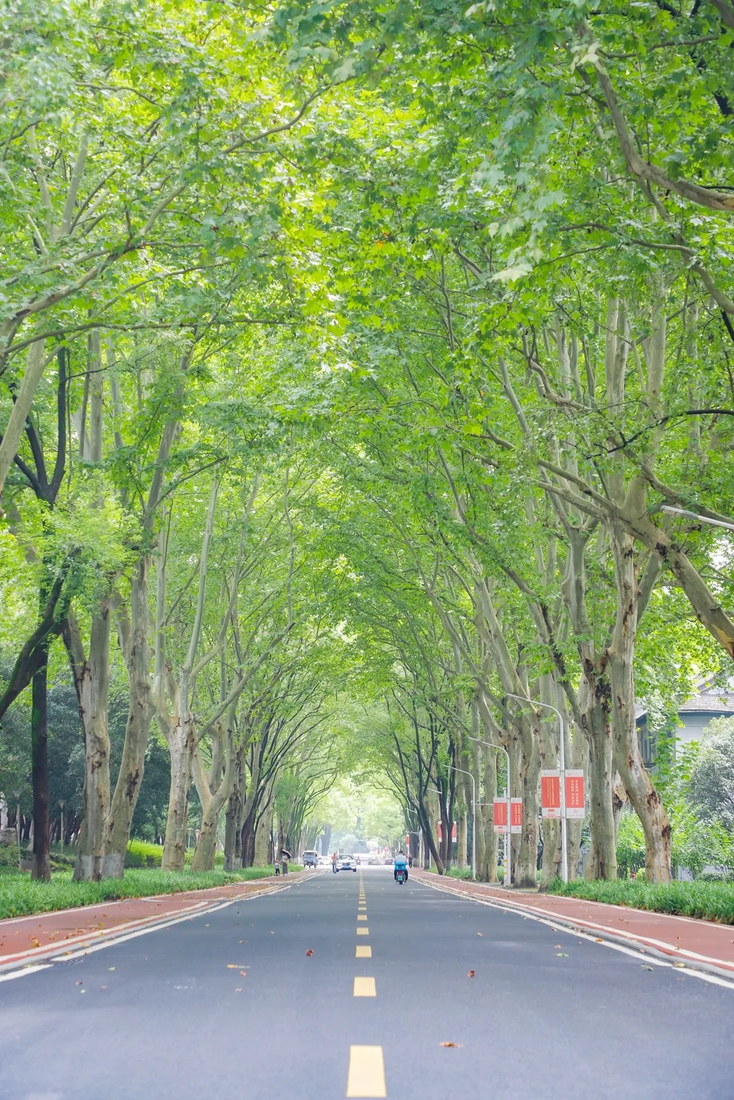 华中师范大学